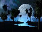full_moon_and_palms.jpg